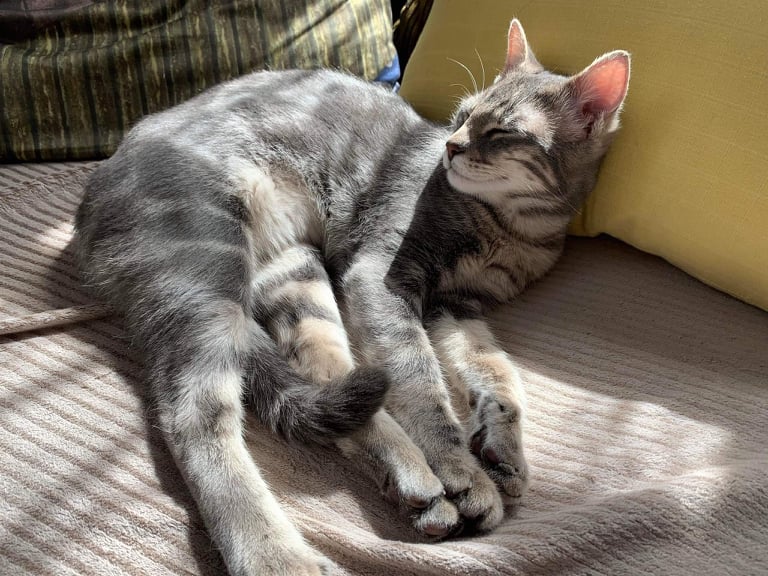 273224803_686830928980068_4792859905260310073_n