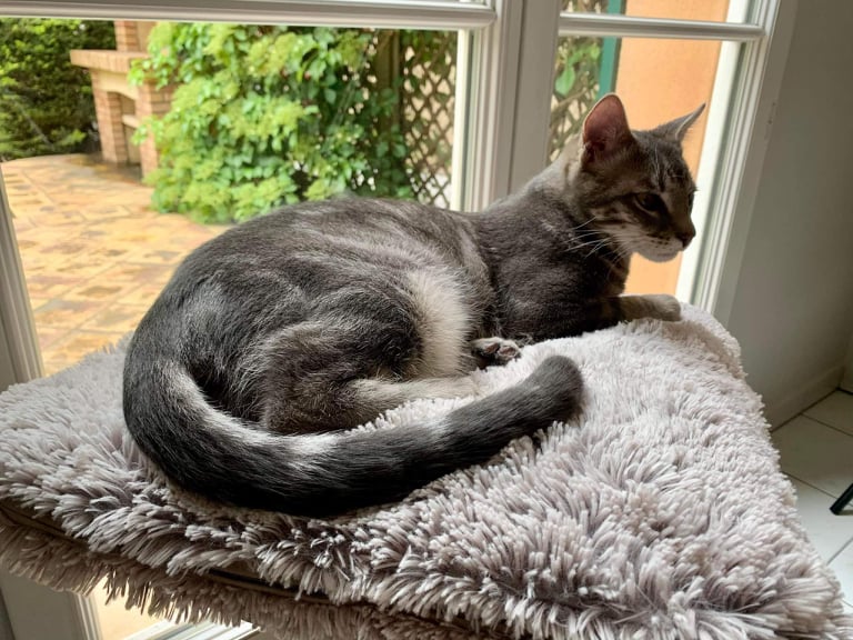 273264783_501200104763747_2262017541173857400_n