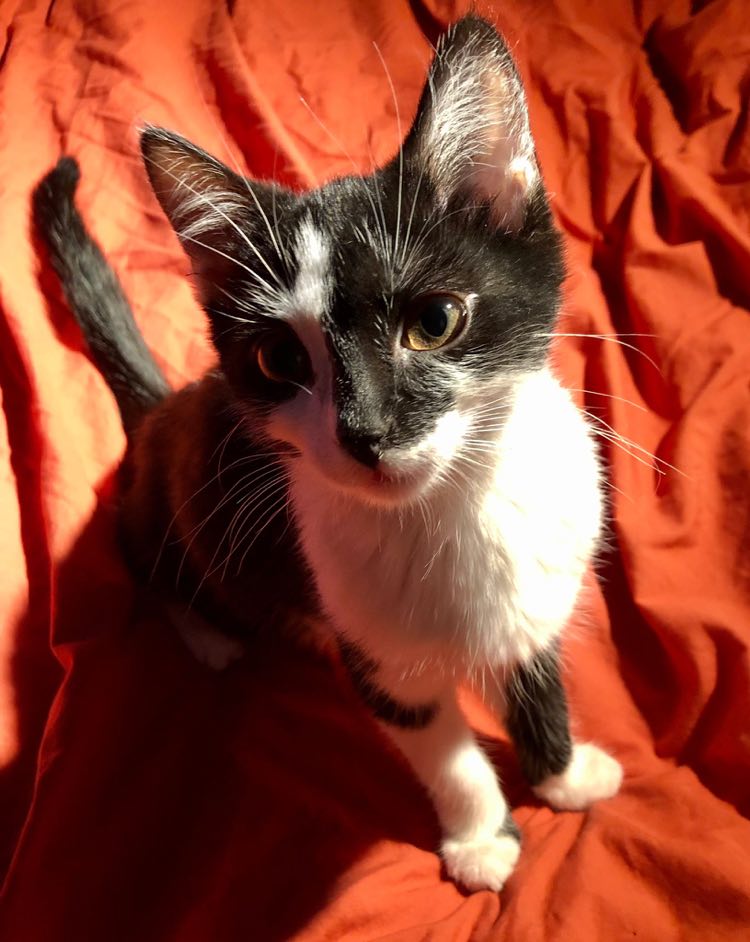 273276191_642718933612385_4117949222531880977_n