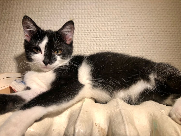 273527862_1348027615633129_7078006324053560257_n