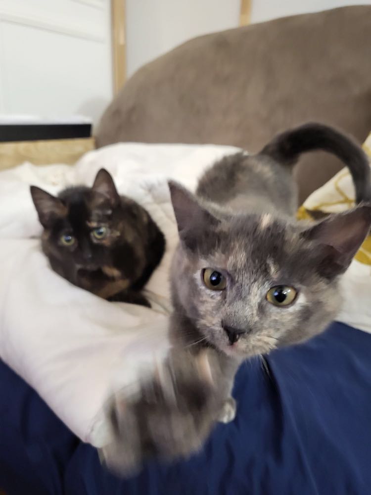 273539197_624467575453515_1654242752026550900_n