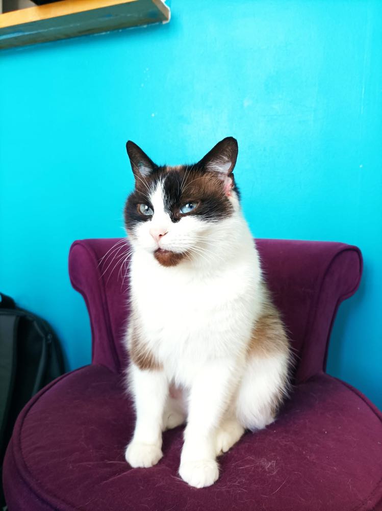 273611478_624342691977271_931314615126744190_n