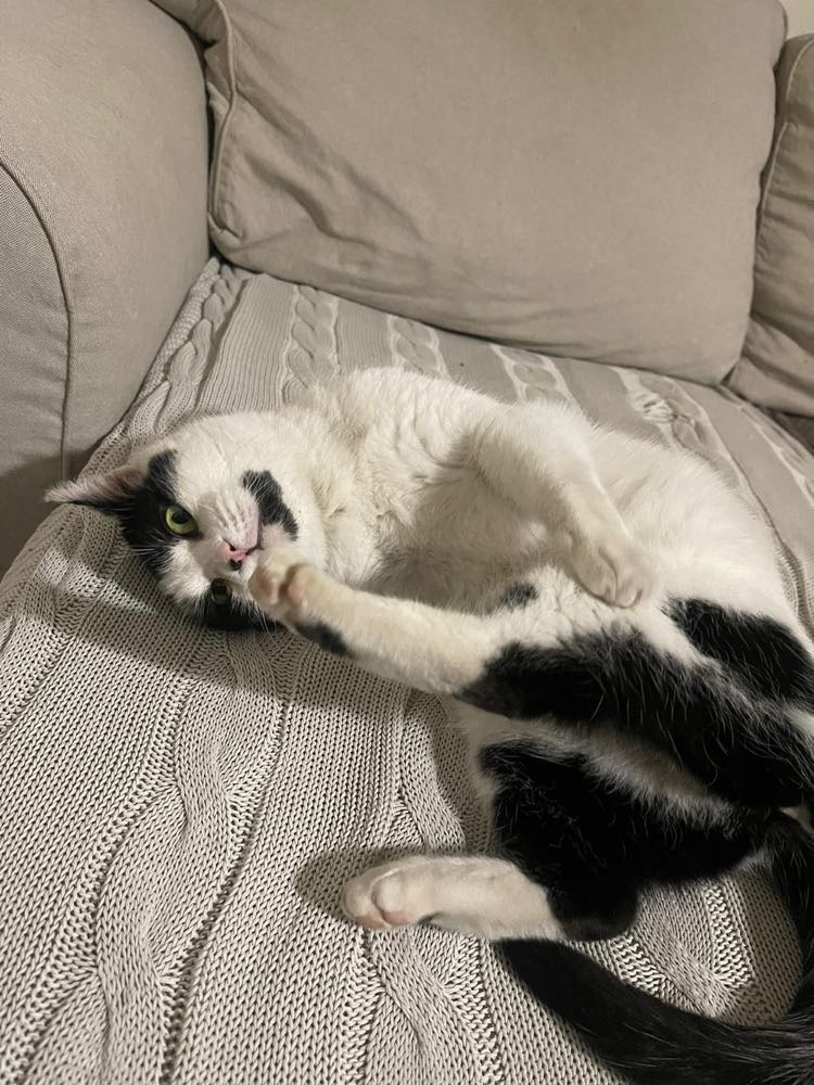 273770592_463494588817019_8026203700381770923_n