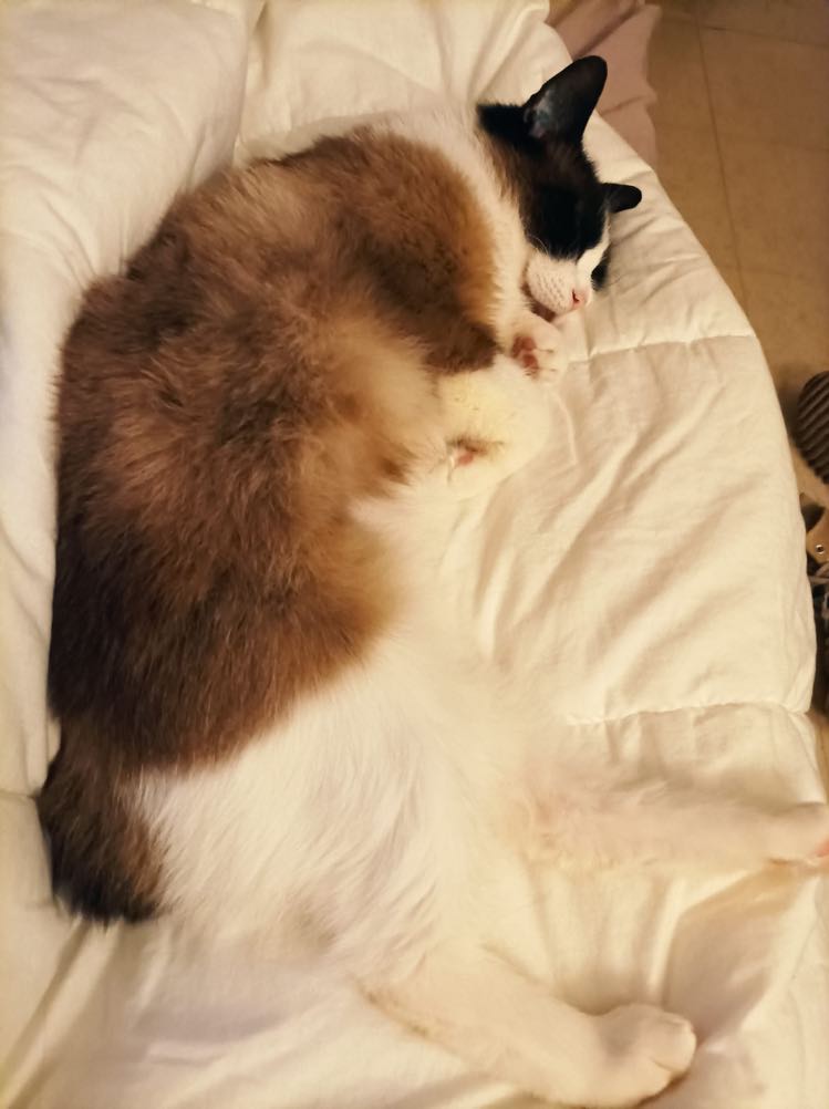 273773856_1119699848765689_8999914451200225857_n