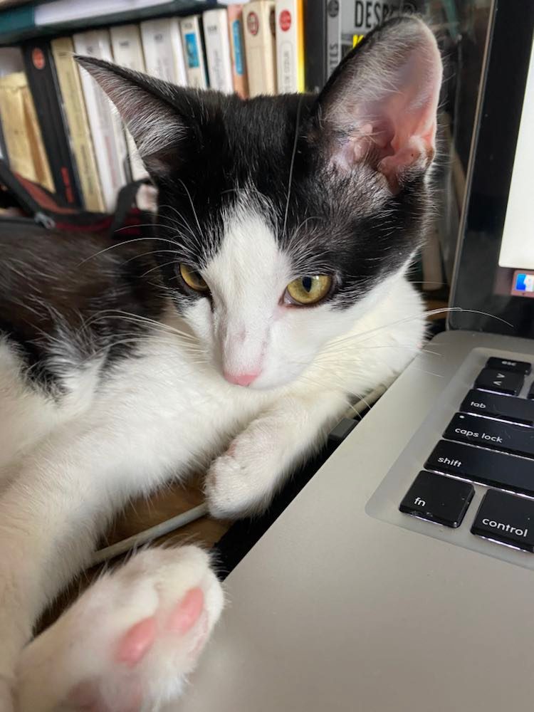 273849843_2144113825738266_7115707527294157575_n