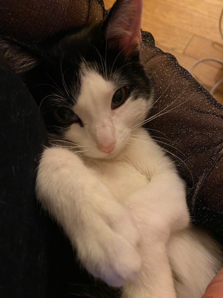 273868053_616944739371360_6762616668091029289_n