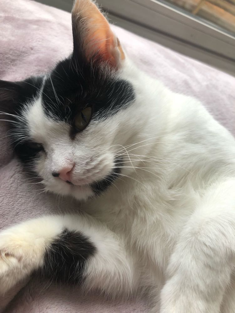 273878676_5196062193793841_2105798240560978523_n