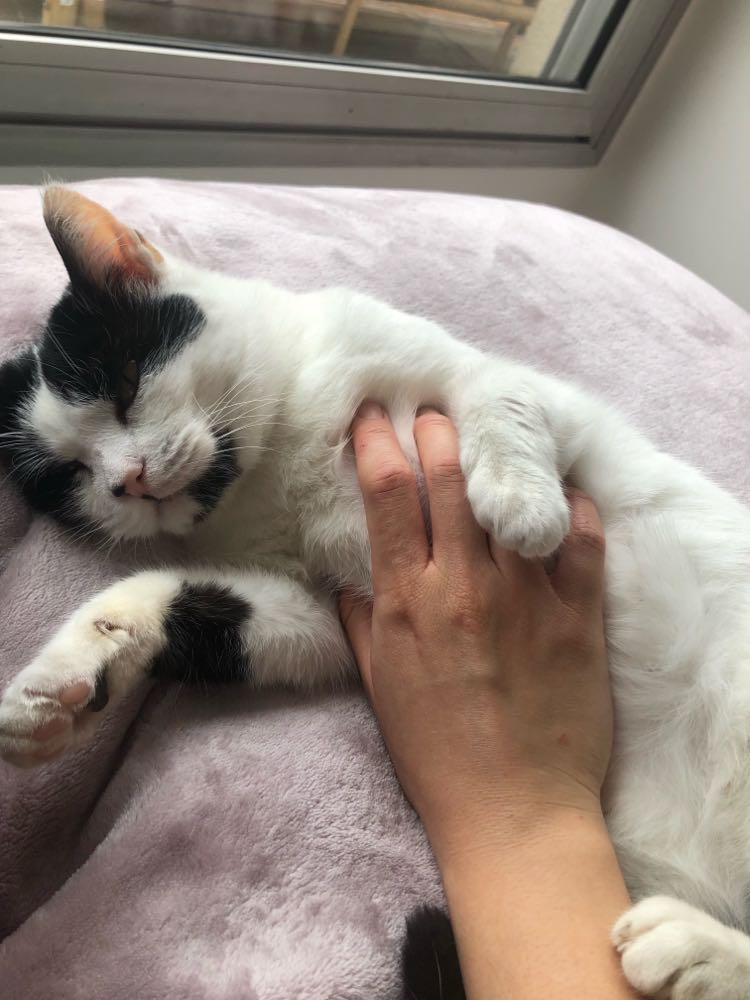 273879709_298527052178325_2206316602868011810_n