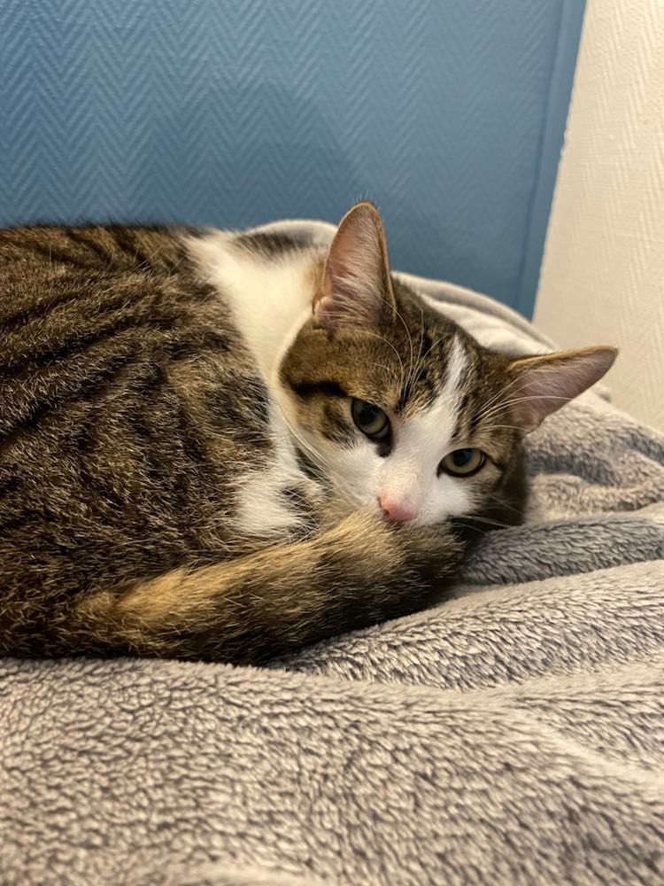 273972099_1126475968114630_122106917867108834_n