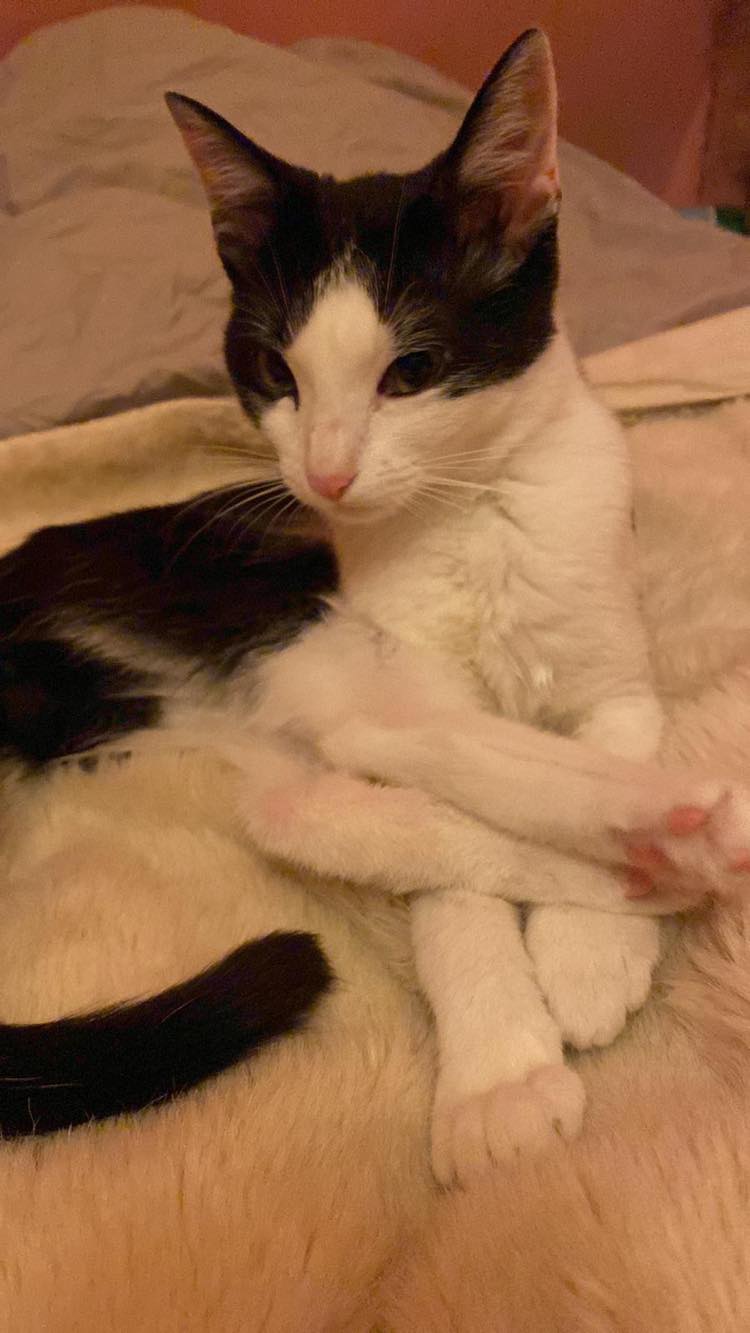 273987226_1099080881010054_1582904232401490530_n