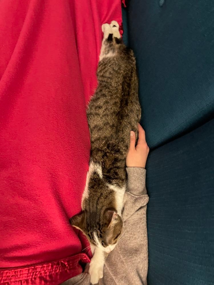 274008779_654625195750655_1242655760685421539_n