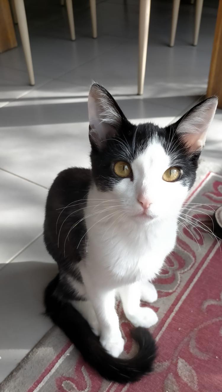 274063815_312431864253567_4125326136677141831_n