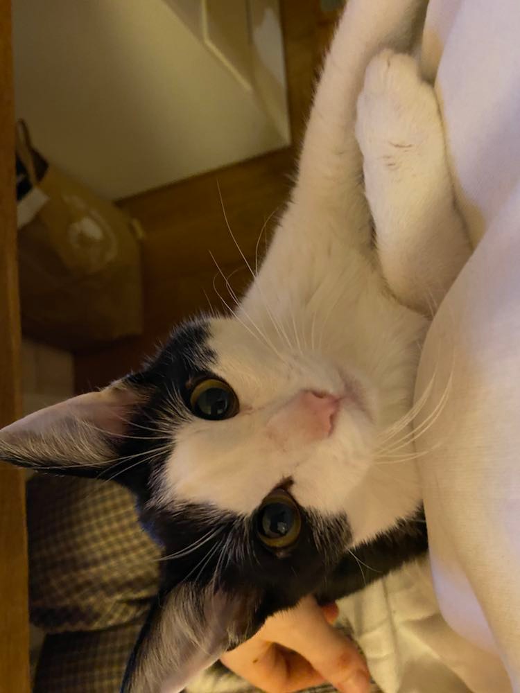 274072438_461104425654106_7711571425787342846_n