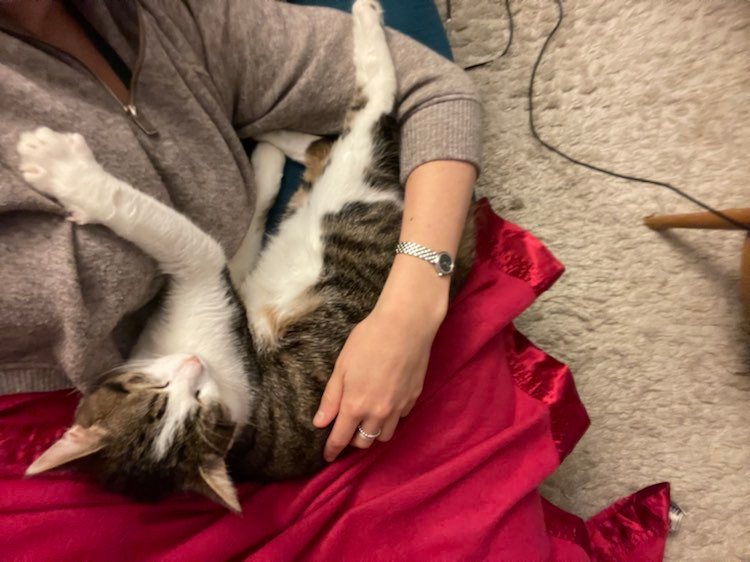 274086478_338911688147926_4828850349952487221_n