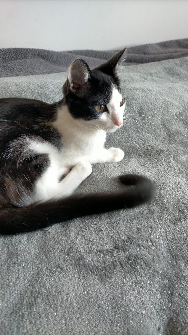 274088118_374596414493106_7318745395030381473_n