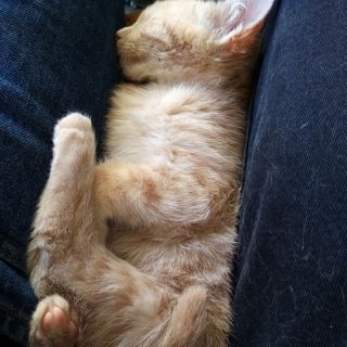 Photo de Eliott, un petit rouquinou tout chou !