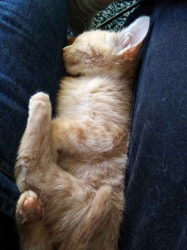 274215069_343354181027772_6505792752151225715_n