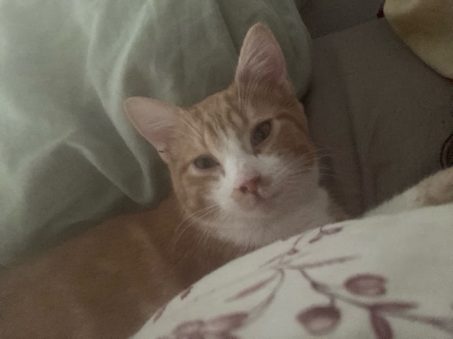 274269886_279649260811576_7451833240010971307_n