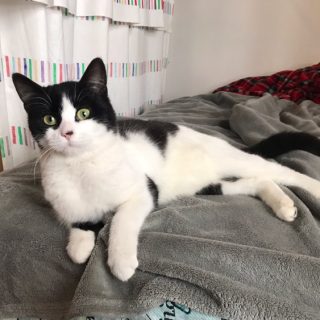 Photo de Rocinante, une ado craquante adorant jouer