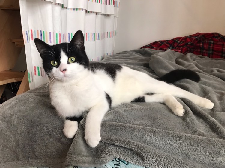 274325051_542406707563877_2515120468547451661_n