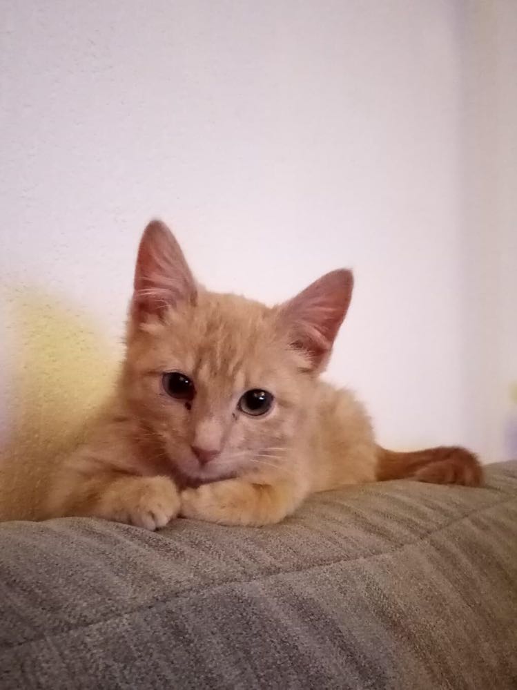 274343739_489804539202133_5974621918612630690_n