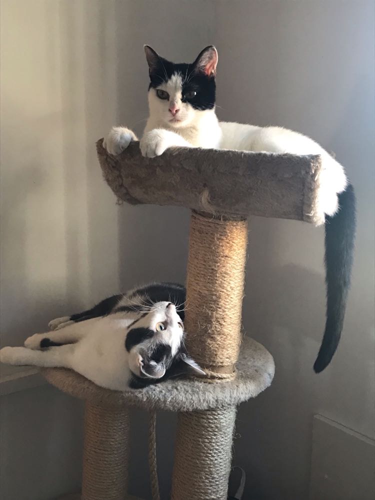 274345523_643180696962079_3244831607429711636_n