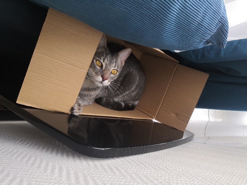 274385600_659717835273068_5018734977887016406_n