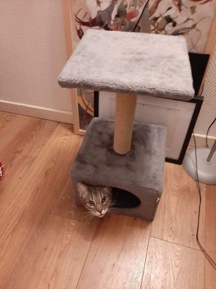 274442693_4926025547474295_6957742760687340187_n