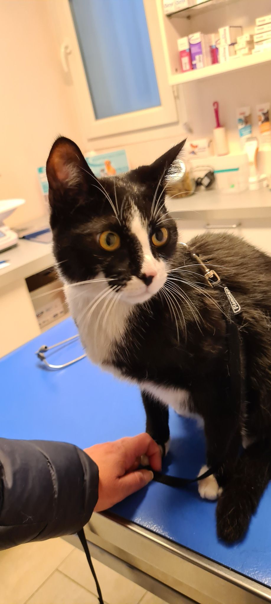 274478339_436148154971674_8082021331442312631_n