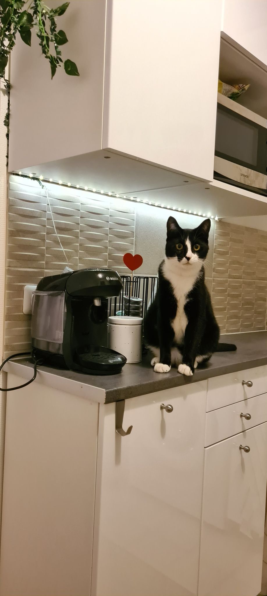 274484241_1152086868917163_7967496759815087840_n