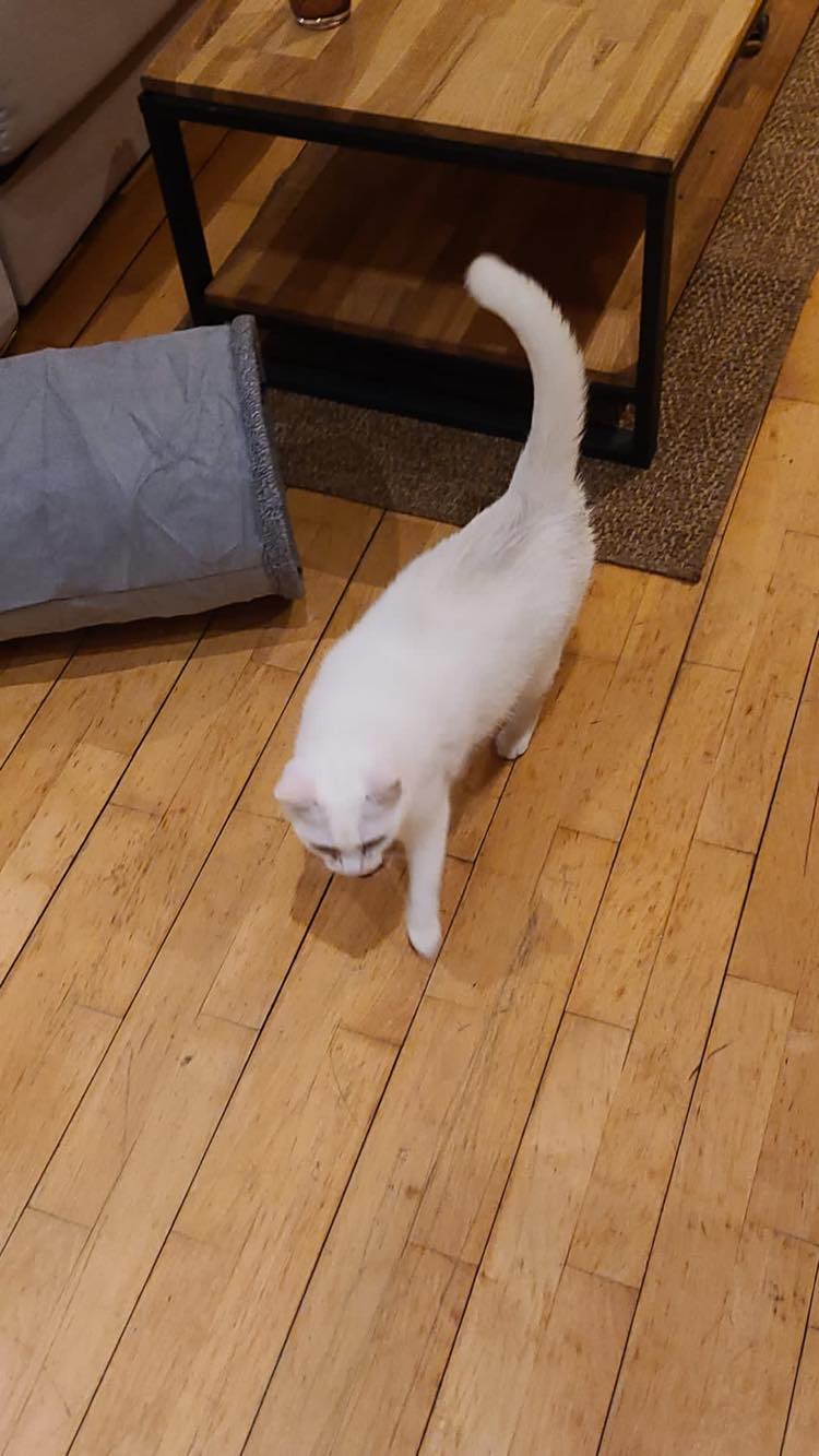 274504865_639431207288397_6404695258338103016_n-1