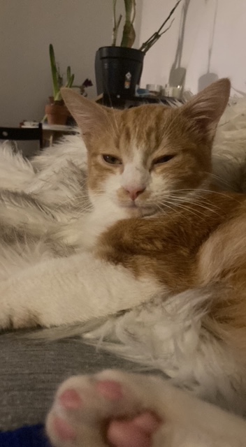 274510204_323957566369522_203353493527979572_n