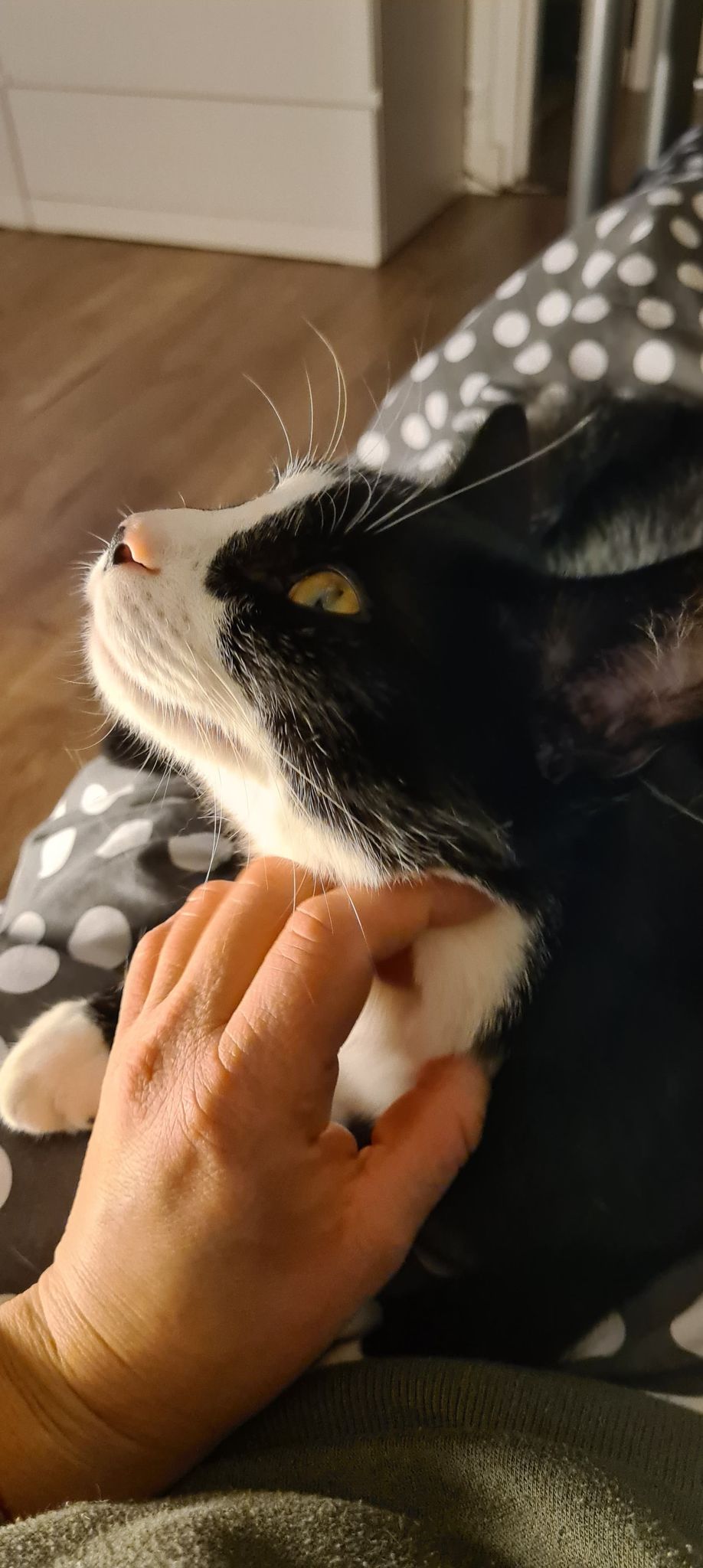 274548987_371139581197738_311467285033657349_n