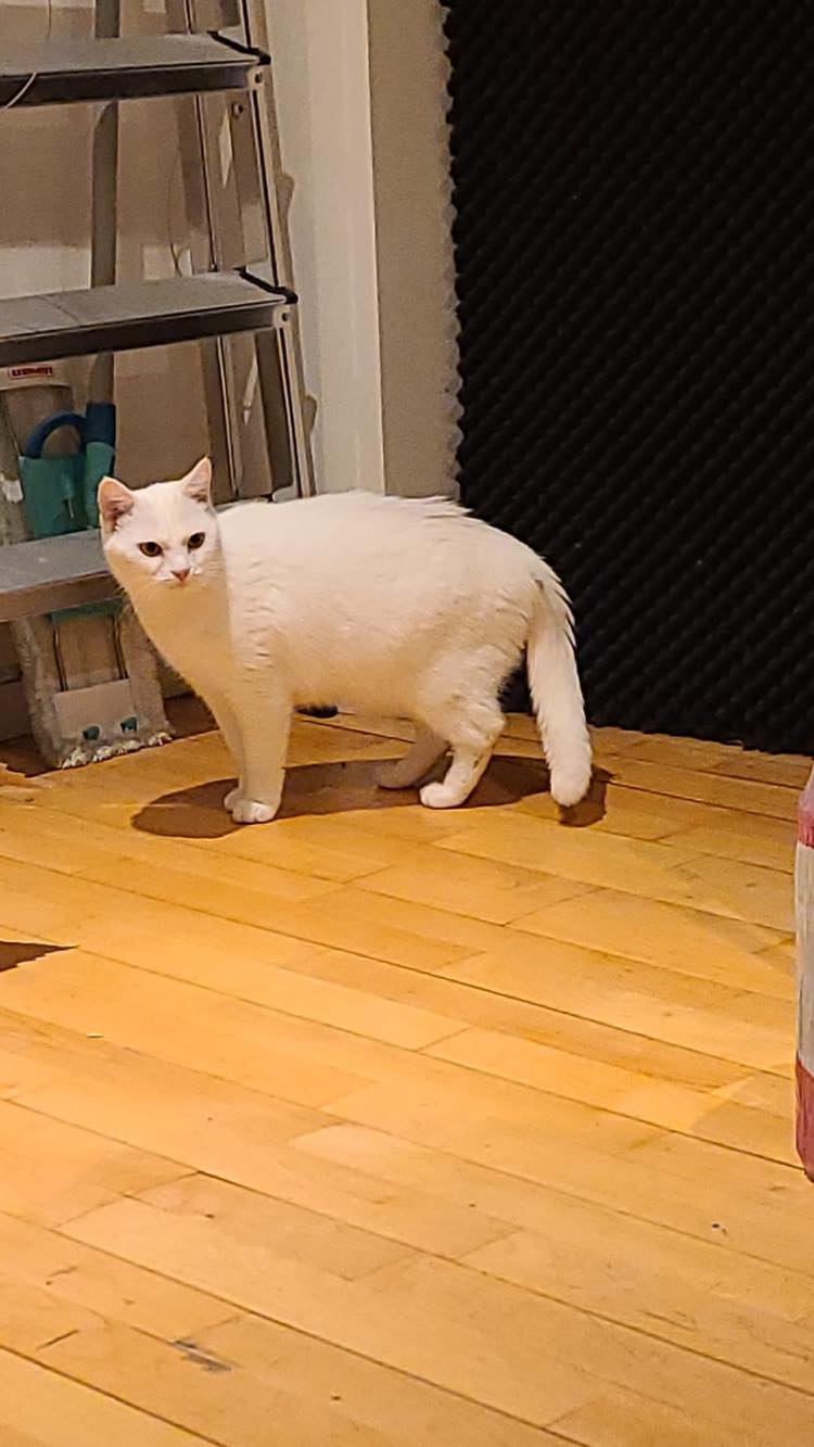 274548987_7283461468361063_2528904888409749759_n