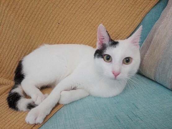 274572876_536405014280277_8236758221956623276_n