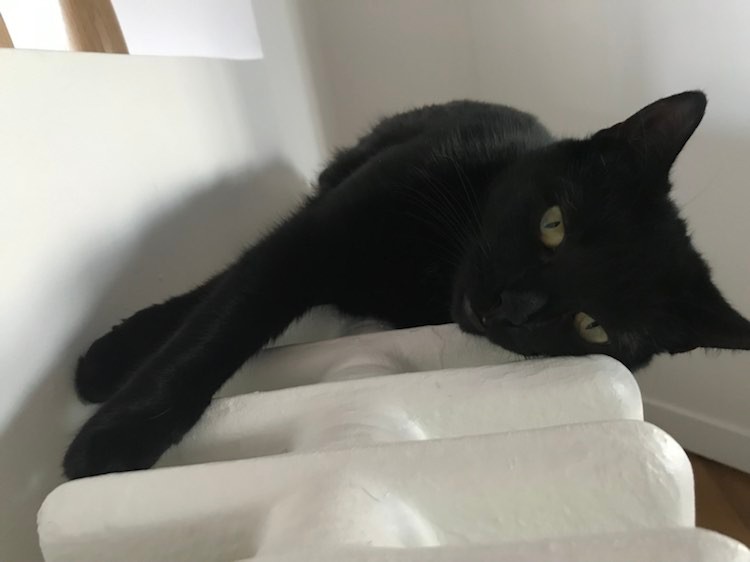 274608535_478438430387924_8505607920998744634_n