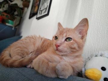 274633316_503388154498637_3478173146203769584_n