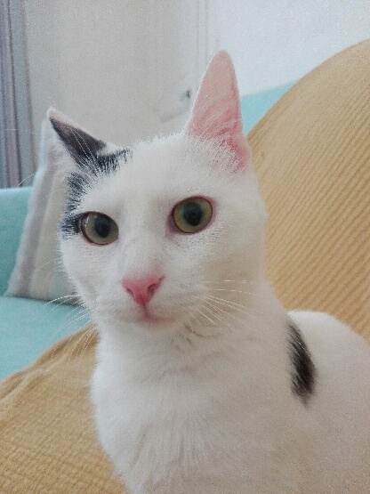 274648112_471358691300226_500566525820327133_n