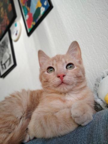 274677610_476114313955919_1421668924519682721_n