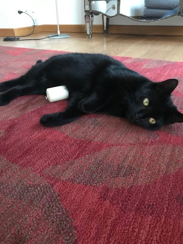 274719441_645492983194045_9174960825451914702_n