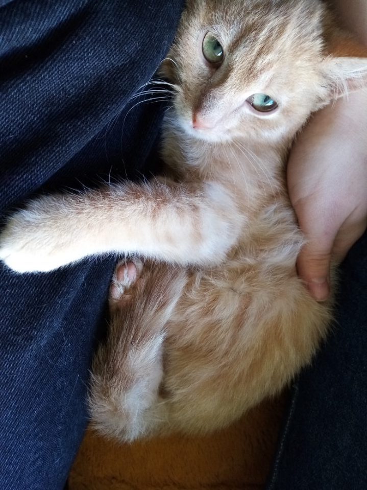 274732513_243143294695307_7443590672631496436_n