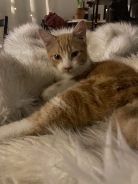 274825409_687589622654954_7654110845427378473_n