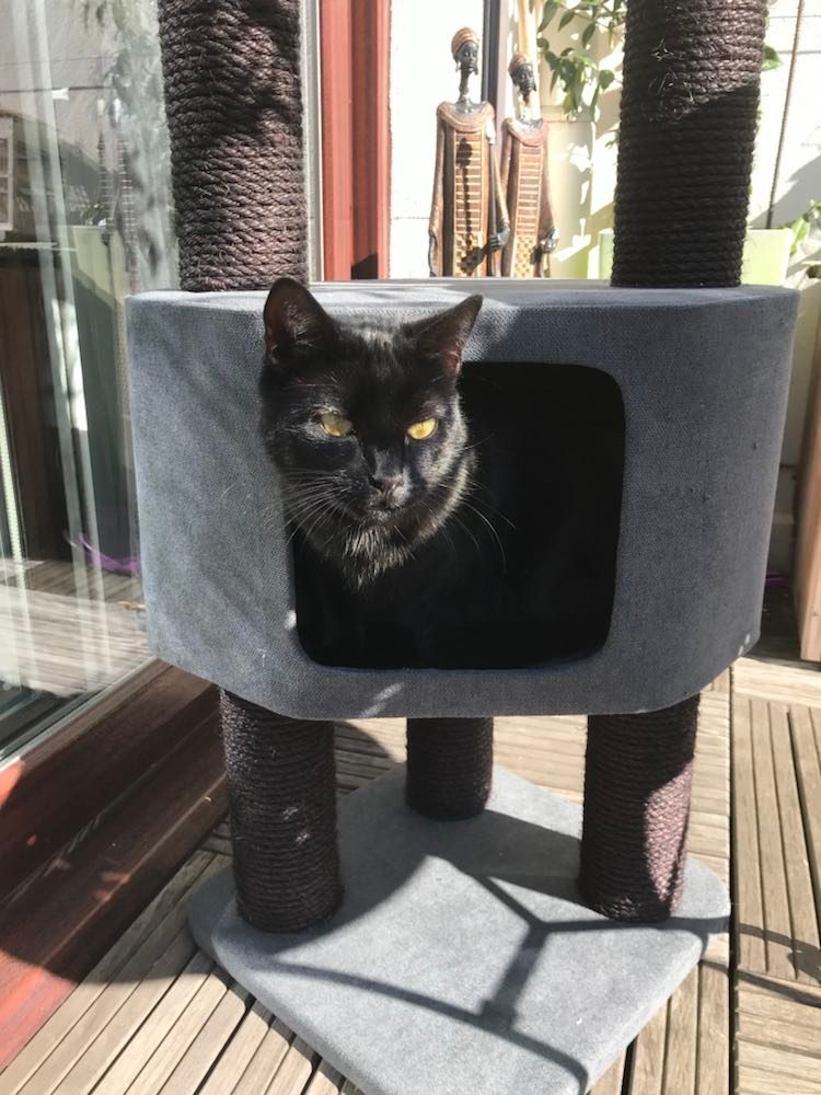 274947017_296041799262678_5023710518596571639_n