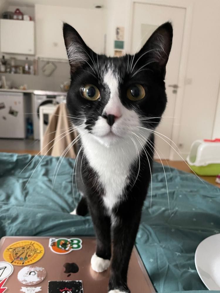 275777839_1164788870924803_940308776460087519_n