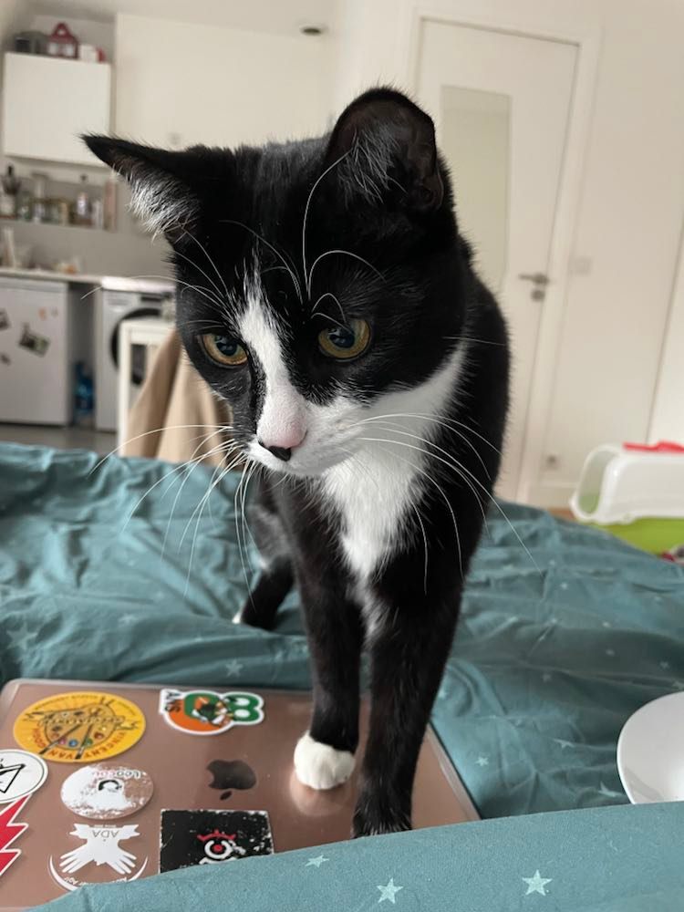 275811685_860042104715150_5486336211299293685_n