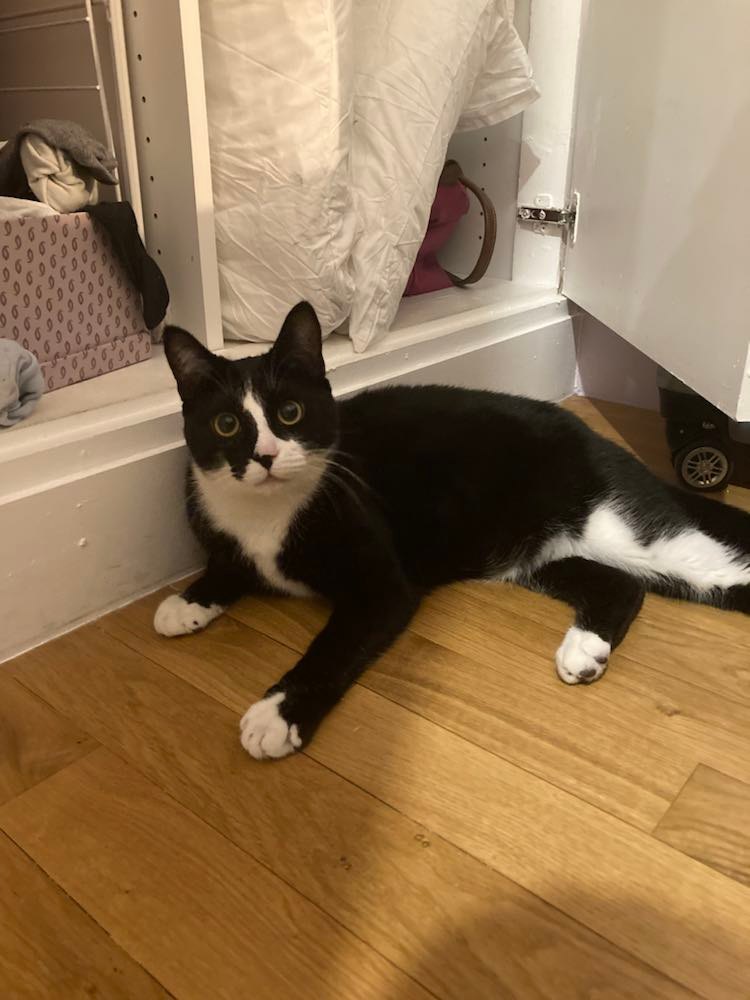 275855990_704340584055420_6053428641069882708_n