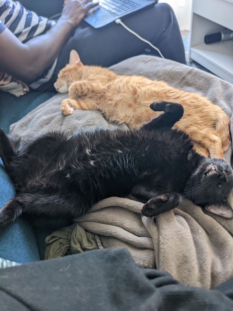 275894588_506293034344115_1933597388039009728_n