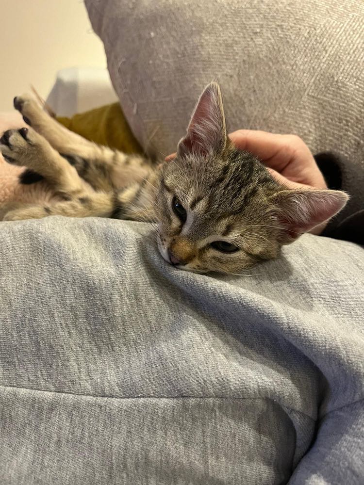 275910182_1005945823680023_2887688214757962747_n-1