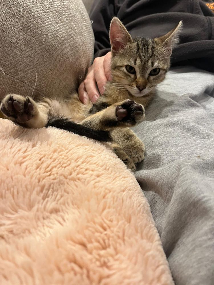 275980663_754395635501534_8277161819375240682_n-1