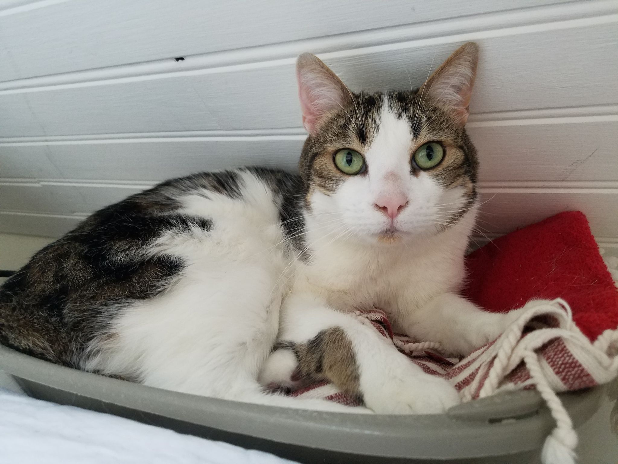 277080154_477670130757917_5223381104852585031_n